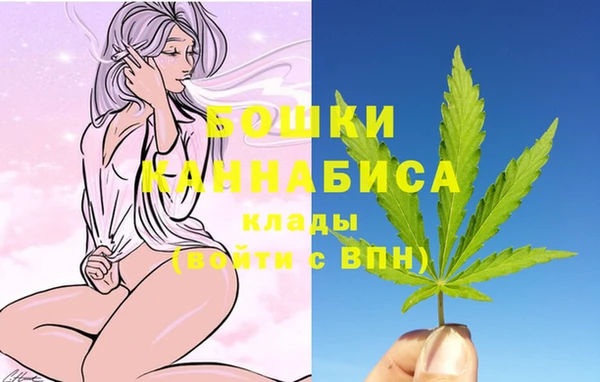 шишки Ельня